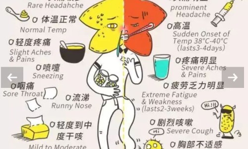 感冒吃羊肉好吗